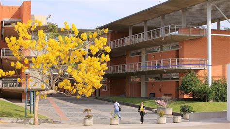 uspf.instructure.com|instructure iteso.